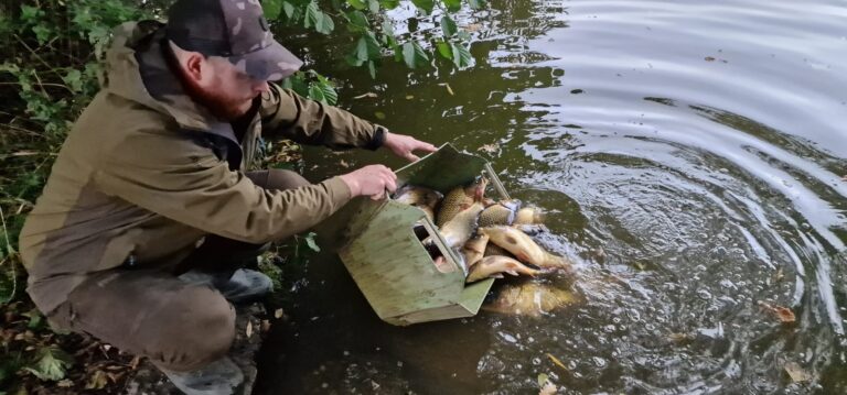 Výlov rybníku Soví a vysazení kapra do Lužnice