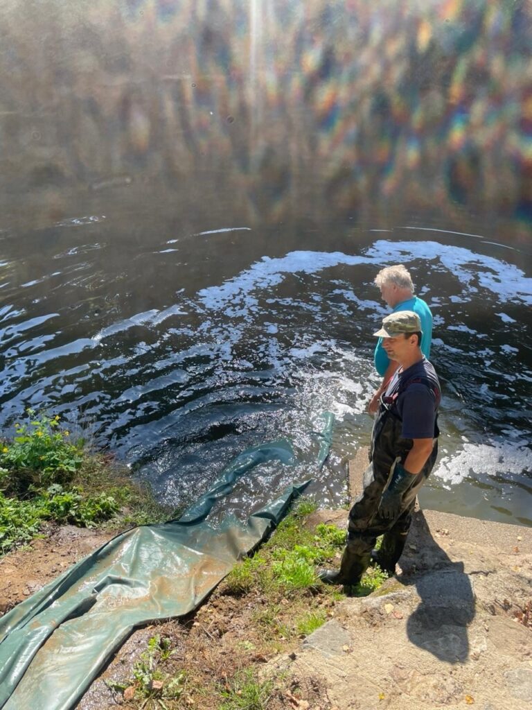 Výlov rybníků Návesní a Krajánek a vysazení do Lužnice